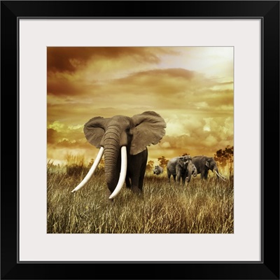 Elephants At Sunset