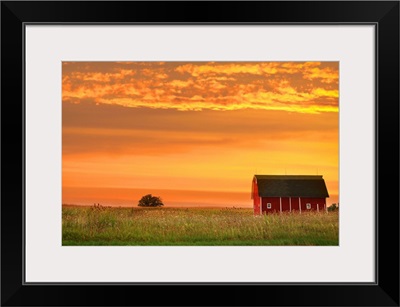 Farm Landscape