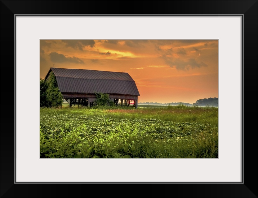 Sunsets over a field blanketed in an evening fog.