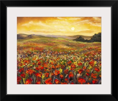 Field Of Red Poppies At Sunset