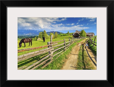 Grazing Horses On The Ranch, Bran, Transylvania, Romania, Europe