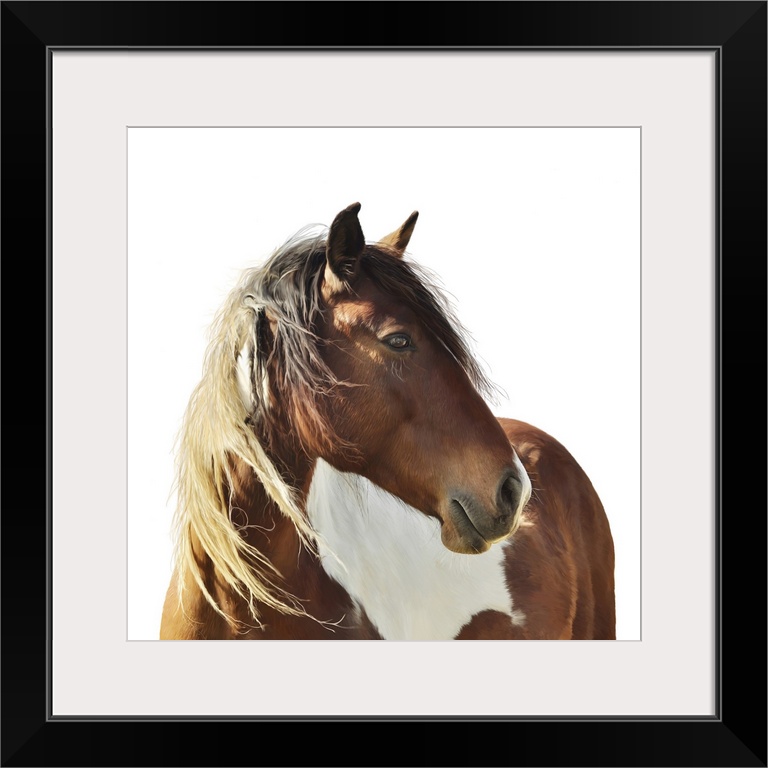 Originally a digital painting of paint horse on white background.