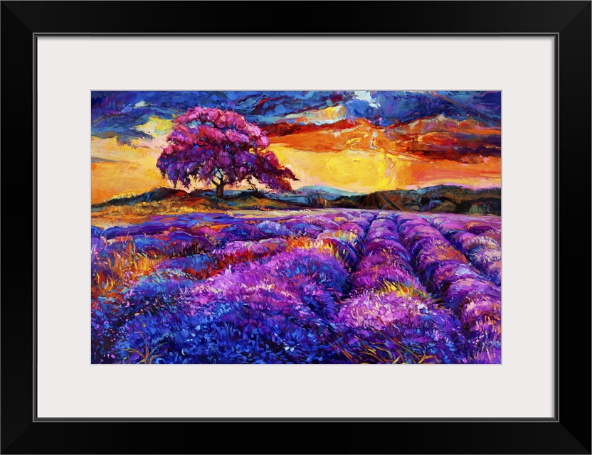 Originally an oil painting of lavender fields on canvas. Sunset landscape. Modern impressionism.