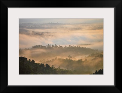 Morning Mist At Tropical Mountain Range, Malaysia
