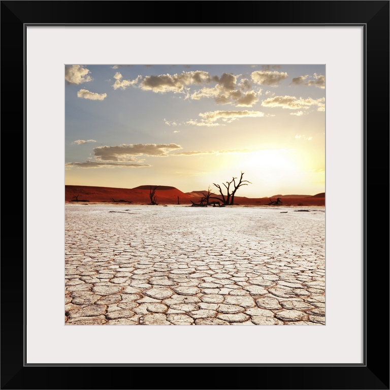 Dead valley in Namibia.