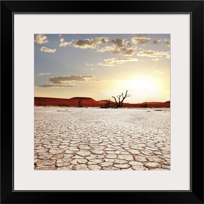 Namib Desert