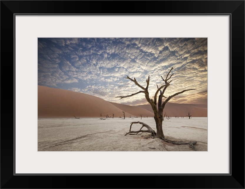 Namib Desert Sossusvlei Salt Lake