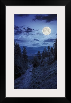 Night Walks In Mountain Forest Under Moon Light