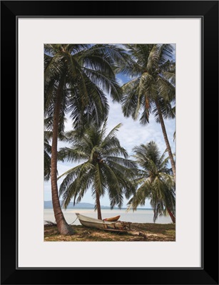 Palm Trees At Tropical Seashore With Boat