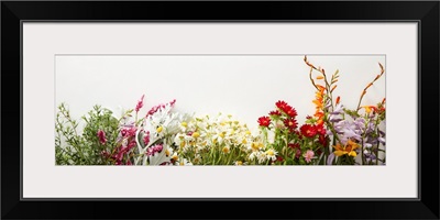 Panoramic Shot Of Bunches Of Diverse Wildflowers On White Background With Copy Space
