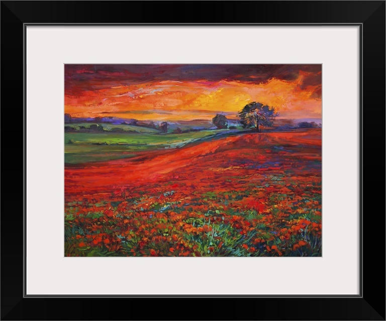 Originally an oil painting of opium poppy (Papaver Somniferum) field in front of beautiful sunset on canvas. Modern impres...