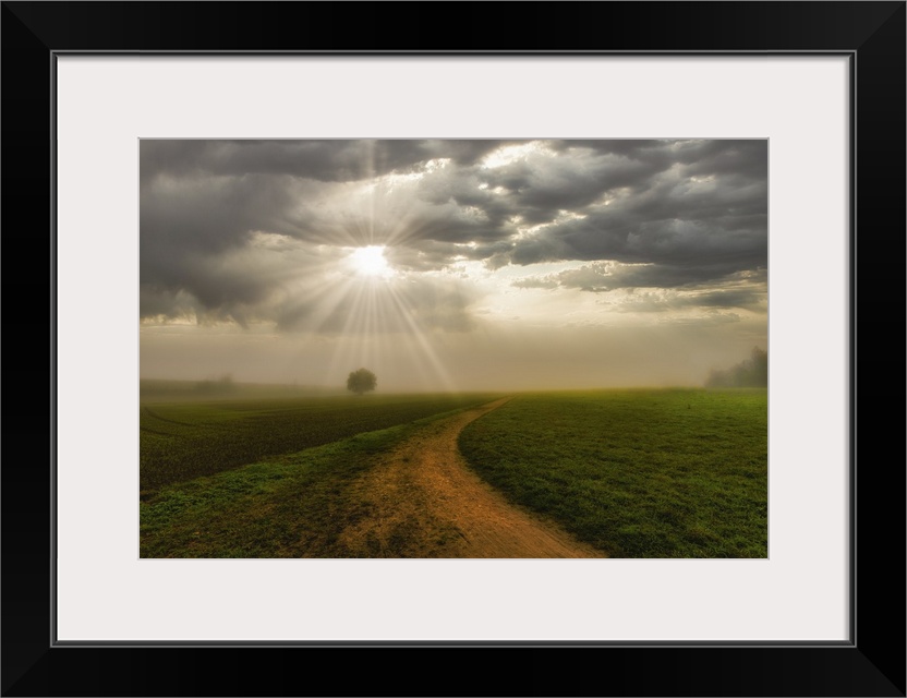 Rural landscape, foggy sunrise with sunbeams breaking through the clouds, a tree and a path towards the horizon.