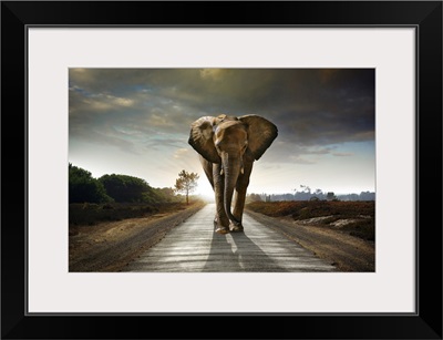 Walking Elephant