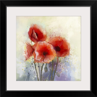 Watercolor Red Poppy Flowers