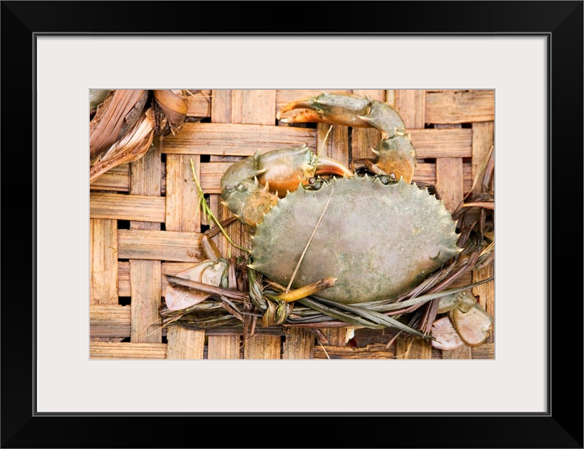 Vietnam, Hoi An, Crabs for sale at Central Market