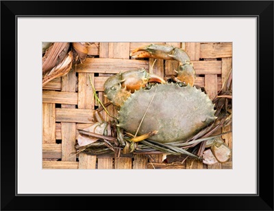 Asia, Vietnam, Hoi An, Crabs for sale at Central Market