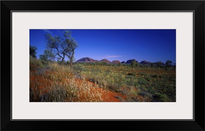 Australia, Northern Territory, Uluru National Park, The Olgas (rock formations)