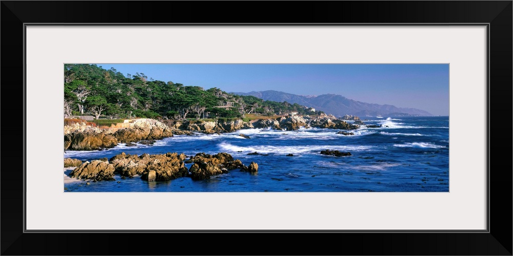 CA, Monterey Peninsula, Carmel, 17-Mile Drive at Pebble Beach, Harbor Seals