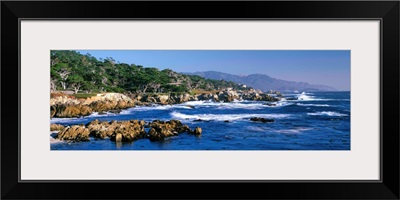 CA, Monterey Peninsula, Carmel, 17-Mile Drive at Pebble Beach, Harbor Seals