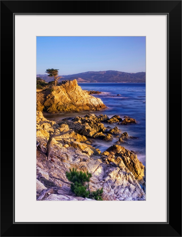 CA, Monterey Peninsula, The silhouette of the famous Lone Cypress Tree