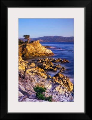 CA, Monterey Peninsula, The silhouette of the famous Lone Cypress Tree