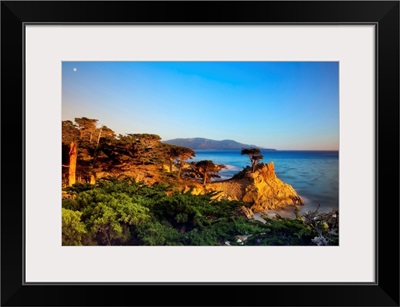 CA, Monterey Peninsula, The silhouette of the famous Lone Cypress Tree