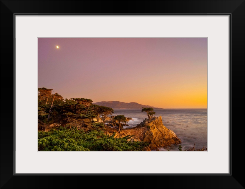 CA, Monterey Peninsula, The silhouette of the famous Lone Cypress Tree