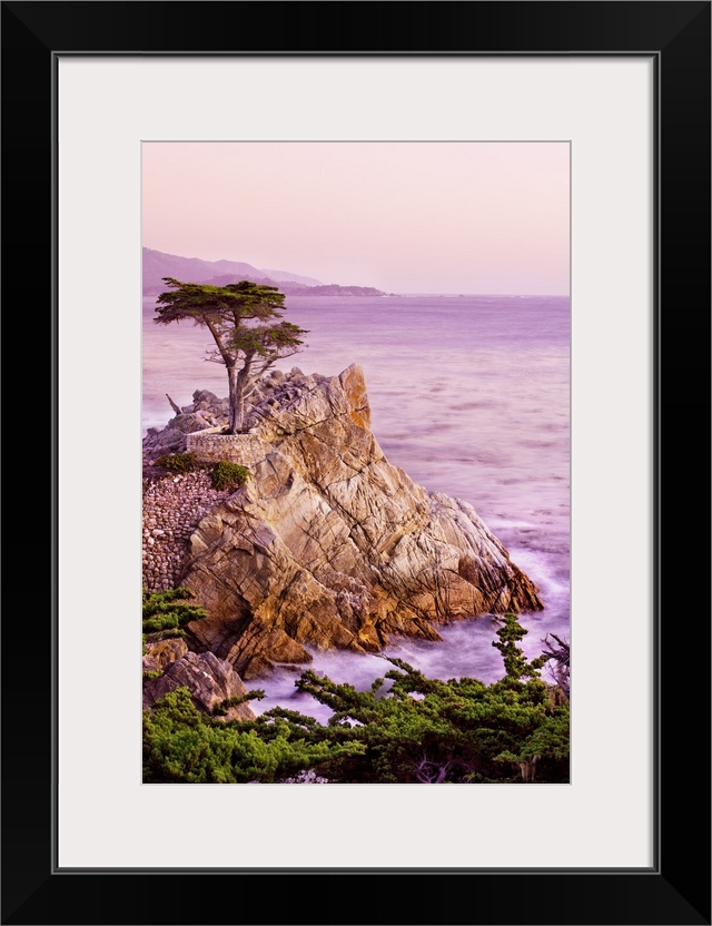 California, Monterey Peninsula, silhouette of the famous Lone Cypress Tree