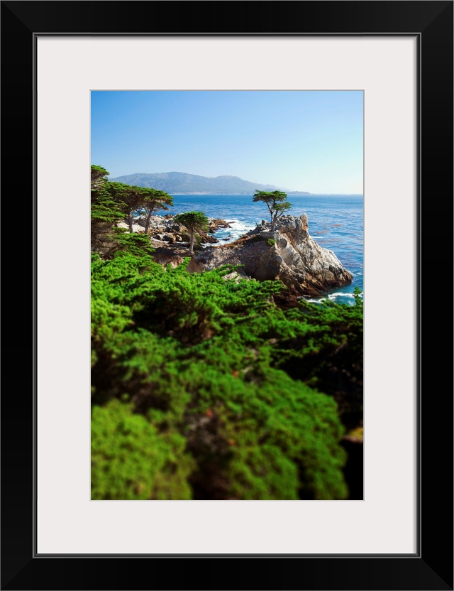 California, silhouette of the famous Lone Cypress Tree on the Big Sur coast