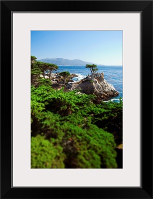 California, silhouette of the famous Lone Cypress Tree on the Big Sur coast