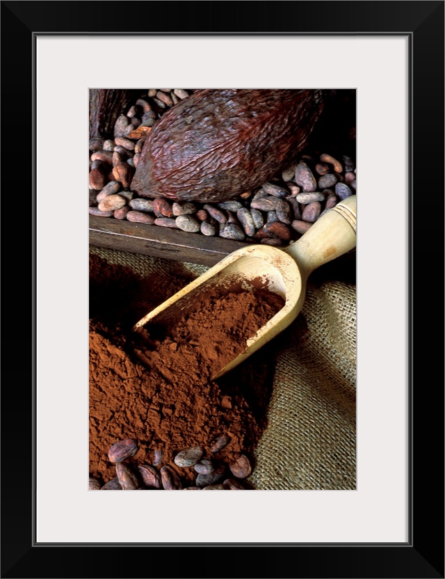 Cocoa fruit, cocoa beans and powder