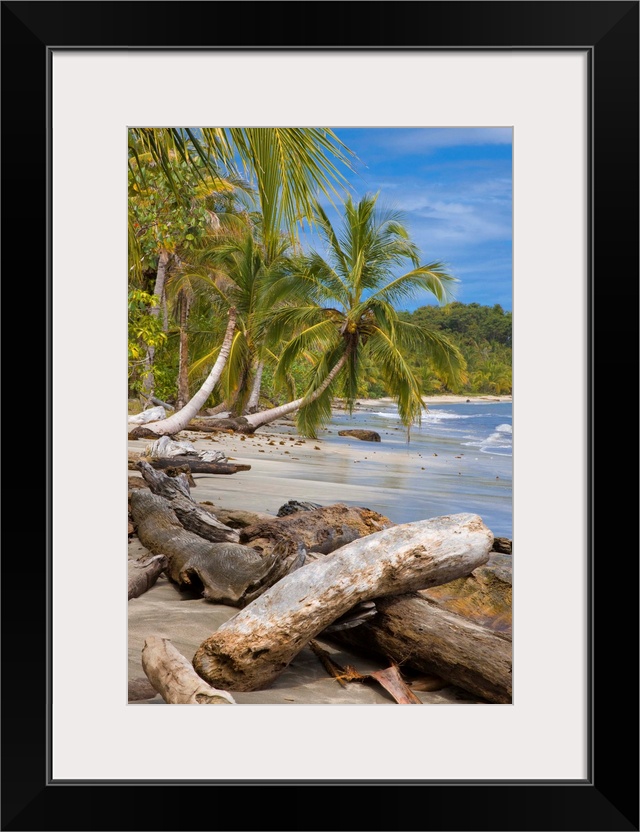 Costa Rica, Limon, Tropics, Caribbean sea, Cahuita National Park, Beach