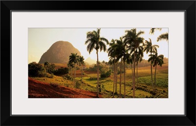 Cuba, Vinales, landscape