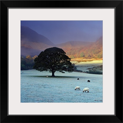 England, Cumbria, Great Britain, Lake District, Dawn