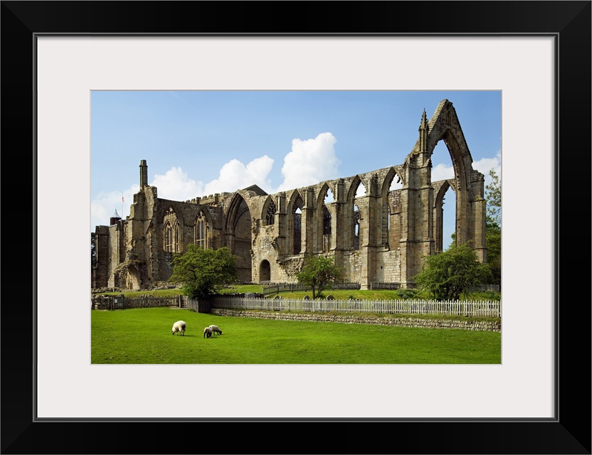 United Kingdom, UK, England, Yorkshire, Yorkshire Dales National Park, Bolton Abbey, old ruin of a church