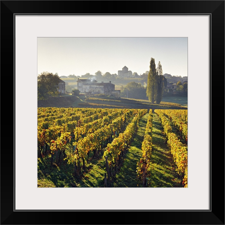 France, Aquitaine, Montagne, Gironde, Bordeaux region, Travel Destination, Vineyard and village near Saint-Emilion