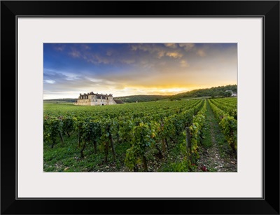 France, Chateau Clos De Vougeot, Vineyards Along The Route Des Grands Crus, Sunset
