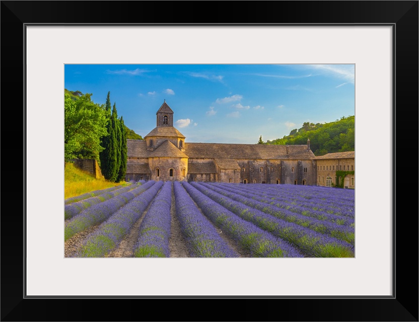 France, Provence-Alpes-Cote d'Azur, Gordes, Senanque Abbey, Provence, Notre-Dame de Senanque abbey with lavender fields.