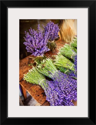 France, Provence-Alpes-Cote D'azur, Provence, Sault, Lavender
