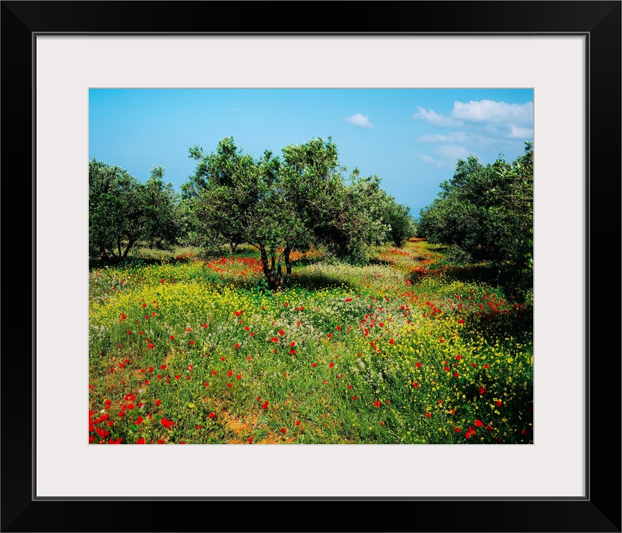 Greece, Crete Island, Crete, Countryside in spring