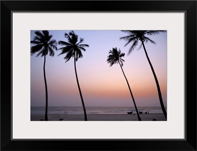India, Goa, Palms along the Colva beach at sunset