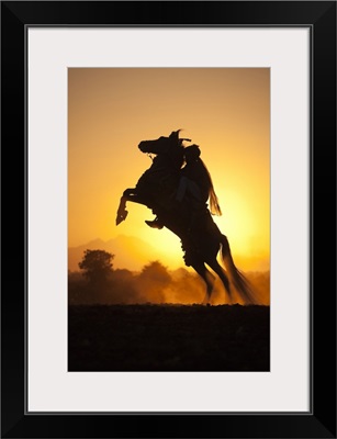 India, Rajasthan, rider on a rearing Kathiawari horse backlit in the sunset