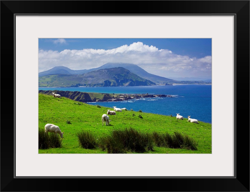 Ireland, Donegal, Inishowen Peninsula, landscape near Pollan Bay