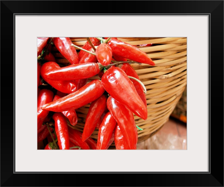 Italy, Calabria, Tropea town, hot peppers