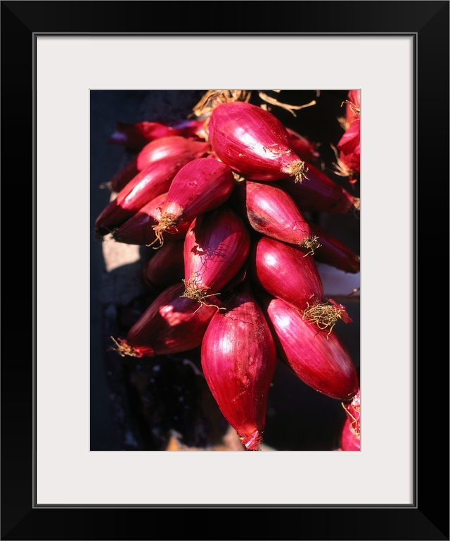 Italy, Calabria, Tropea, typical red onion