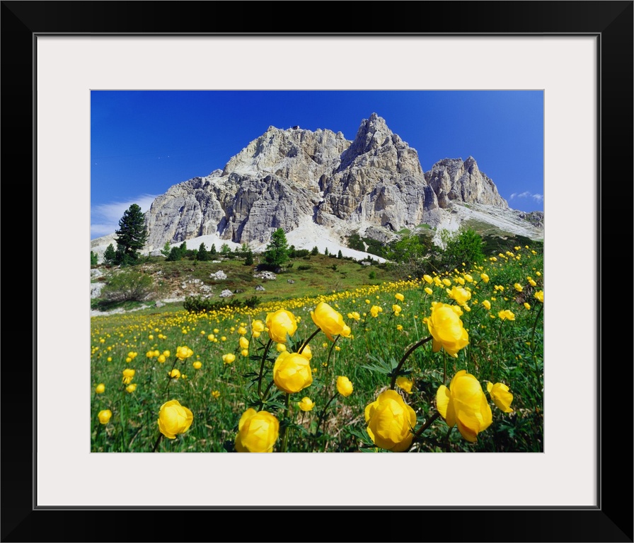 Italy, Dolomites, Belluno, Passo Falzarego, spring blossom and Monte Lagazuoi