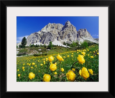 Italy, Dolomites, Belluno, Passo Falzarego, spring blossom and Monte Lagazuoi