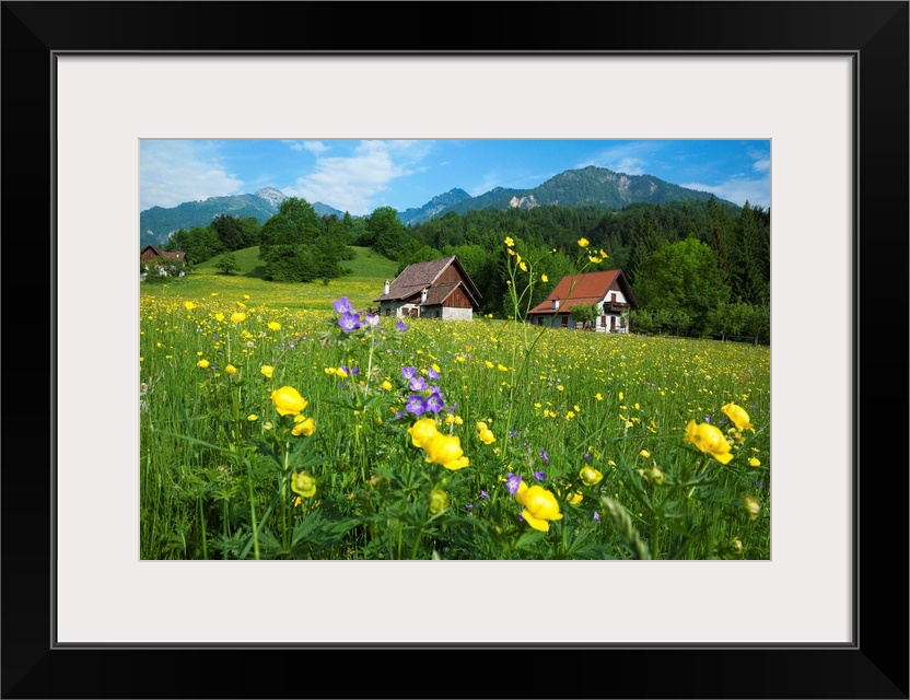 Italy, Friuli-Venezia Giulia, Carnia, Die valley, pasture in the nearest of Enemonzo