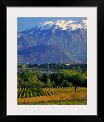 Italy, Lombardy, Lago d'Iseo, vineyards and Monte Isola island