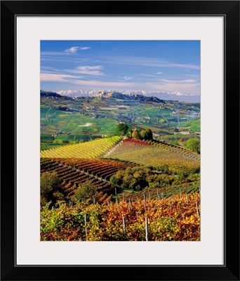 Italy, Piedmont, Langhe, Barolo vineyards and La Morra village in background